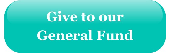 Teal button with "Give to our General Fund" written in white